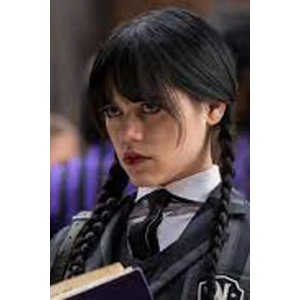 Black Braided Wednesday Adams Long Hair Wig