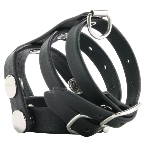 Blue Line Double Cock and Ball Strap with Leash Lead