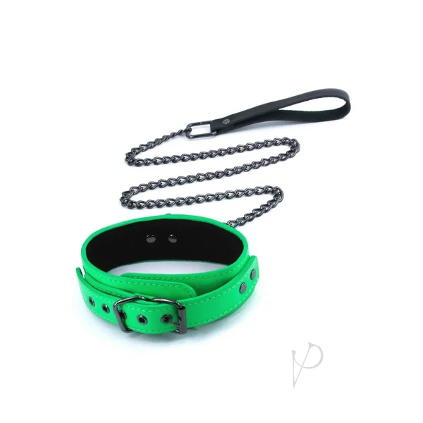 Electra Play Things Sex Collar and Leash