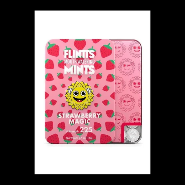 Flintt Mints - bye bye dry mouth