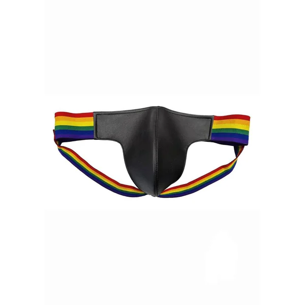 Leather Male Bondage Underwear with Multicolored Pride Stripe