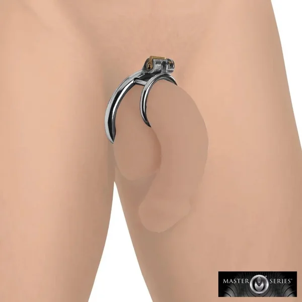 Locking Cock and Ball Ring Male Chastity CBT BDSM