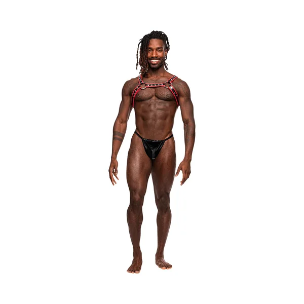 Male Power - Men's Leather - Leo