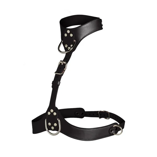 Master Series Vixen Female Chest Vegan Leather Harness – Black