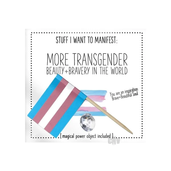 More Transgender Beauty