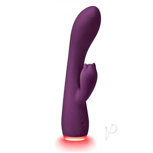OVO Beacon Light Up Rechargeable Silicone Dual Stim Clitoral Stimulator Rabbit Vibrator – Purple