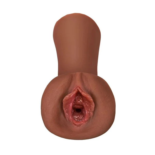 PDX Extreme Wet Pussies Juicy Snatch Self Lubricating Stroker – Chocolate