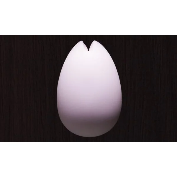 Personal Massagers: Tenga Iroha Massager Sakura Pink