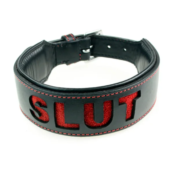 Ple’sür Leather Padded Label Collar