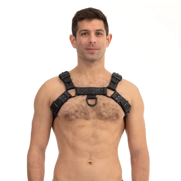 Prowler RED Leather Premium Noir Harness Black
