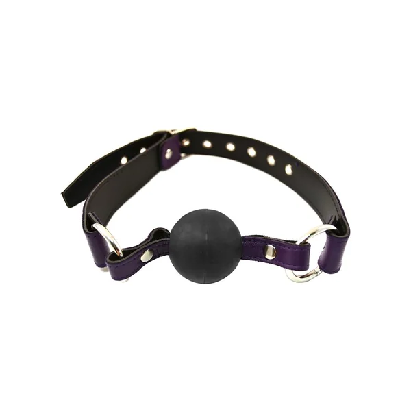 Rouge Adjustable Leather Ball Gag Purple