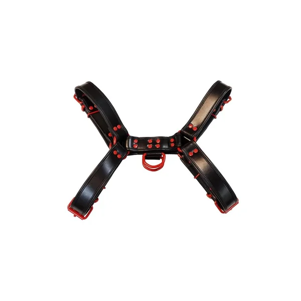 Rouge Leather Over The Head Harness Black with Red Accessories – Small