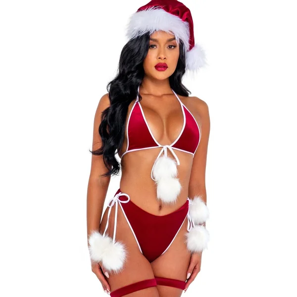 Santa's Holiday Spirit Bikini Costume