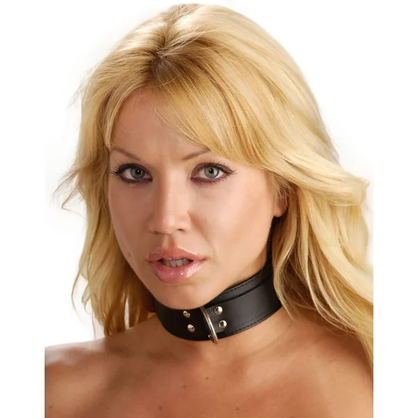 Strict Leather Bondage Collar Lined Collar