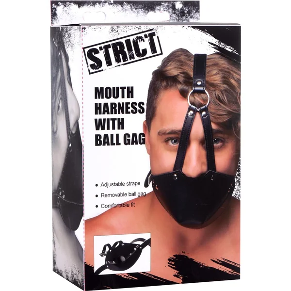 Strict Mouuth Harness With Ball Gag