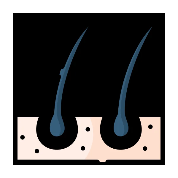 XT Doll Custom Option - Implanted Human Hair